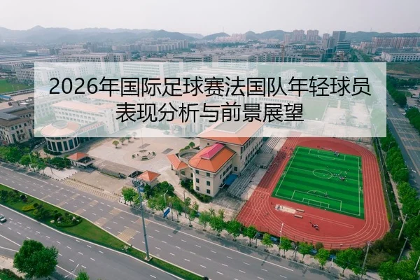 2026年国际足球赛法国队年轻球员表现分析与前景展望